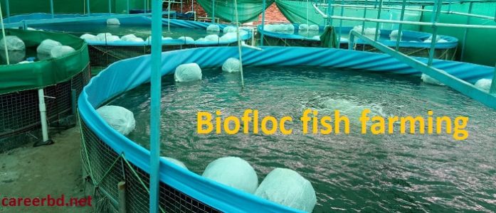 biofloc fish farming