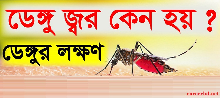 dengue symptoms